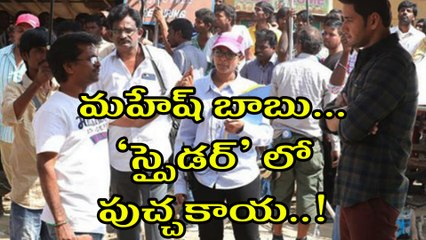 Planning to Release Another Song From Mahesh Babu "SPYDER"
