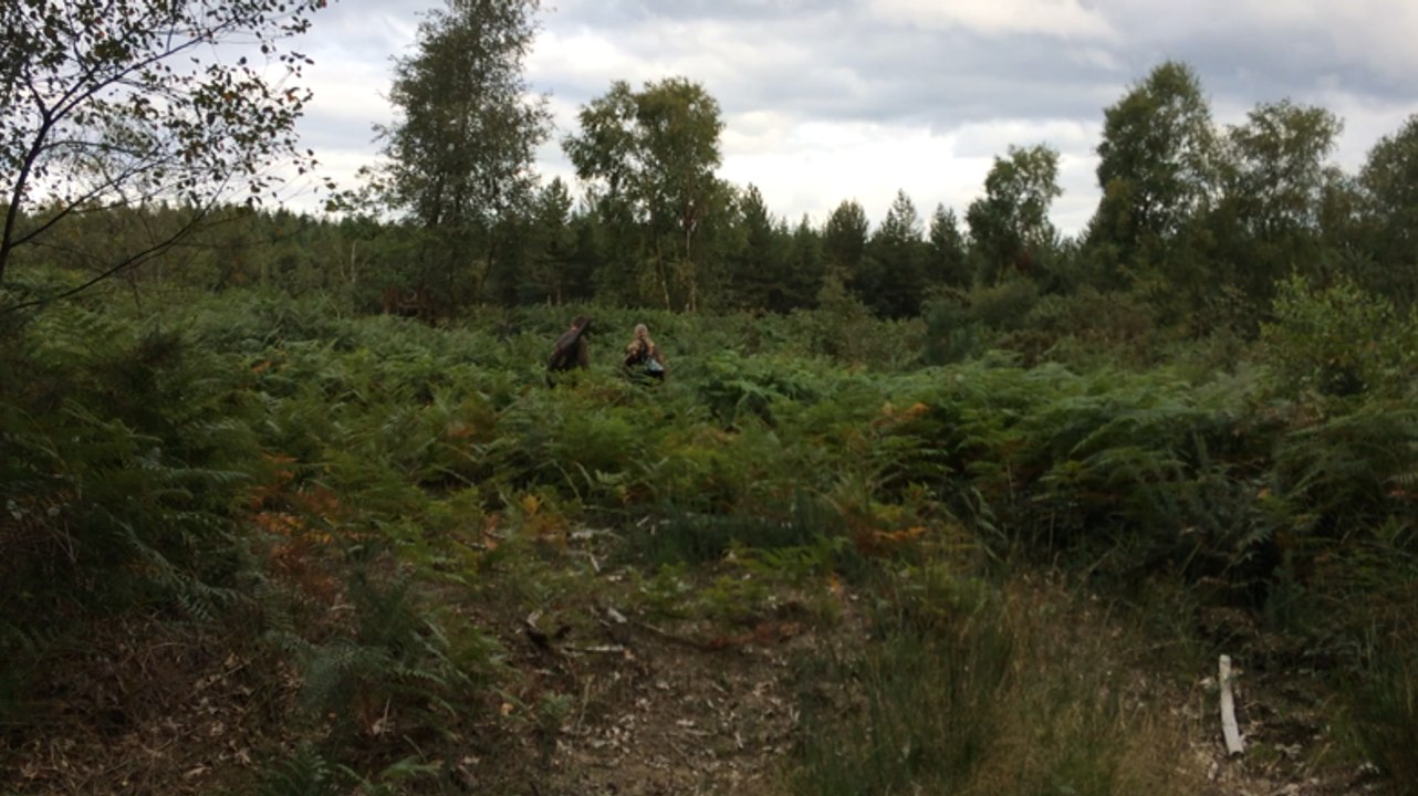 Un tir d'été réalisé par les chasseurs de grand gibier
