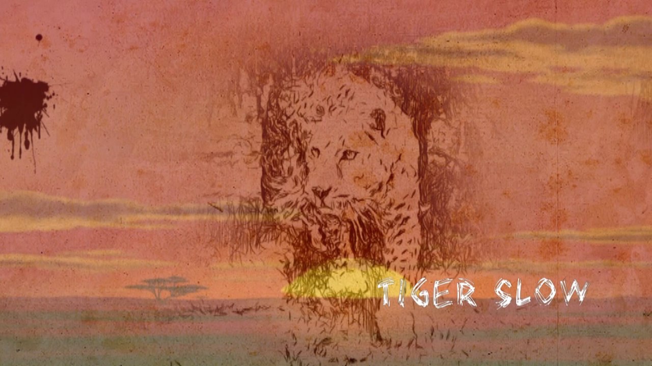 Tiger Slow