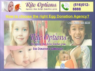 How to choose the right Egg Donation Agency