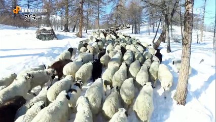 EBS 다큐프라임 - Docuprime_가축 4부- 다큐영화, 아주 오래된 동행_#003