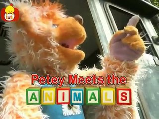 Petey Meets the Animals | Cartoon for Children - Luli TV