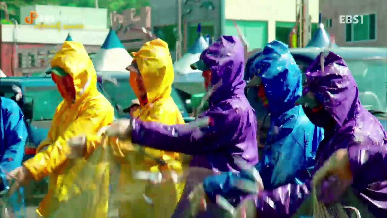 EBS 다큐프라임 - Docuprime_생명의 해류 2000km 2부- 한반도 해류의...