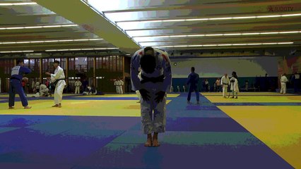 AMANDINE BUCHARD / FAST AND CURIOUS