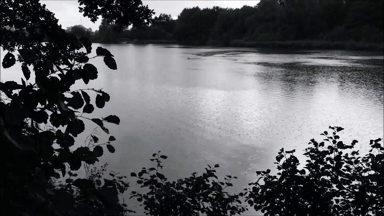 Zukunft baut Pinneberg - Funkturmsee August 2017 /Full Film/Complete Movie/Ganzer Film