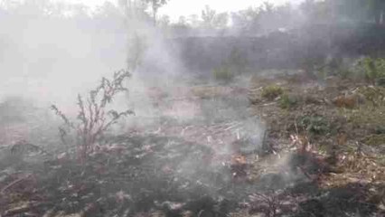 Siguen activos tres incendios forestales en Galicia