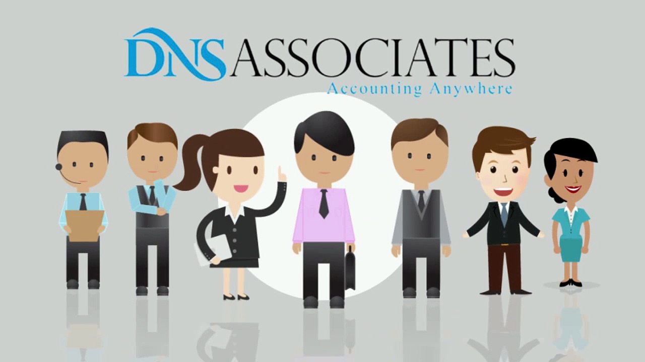 DNS Accounting Services for Small Businesses