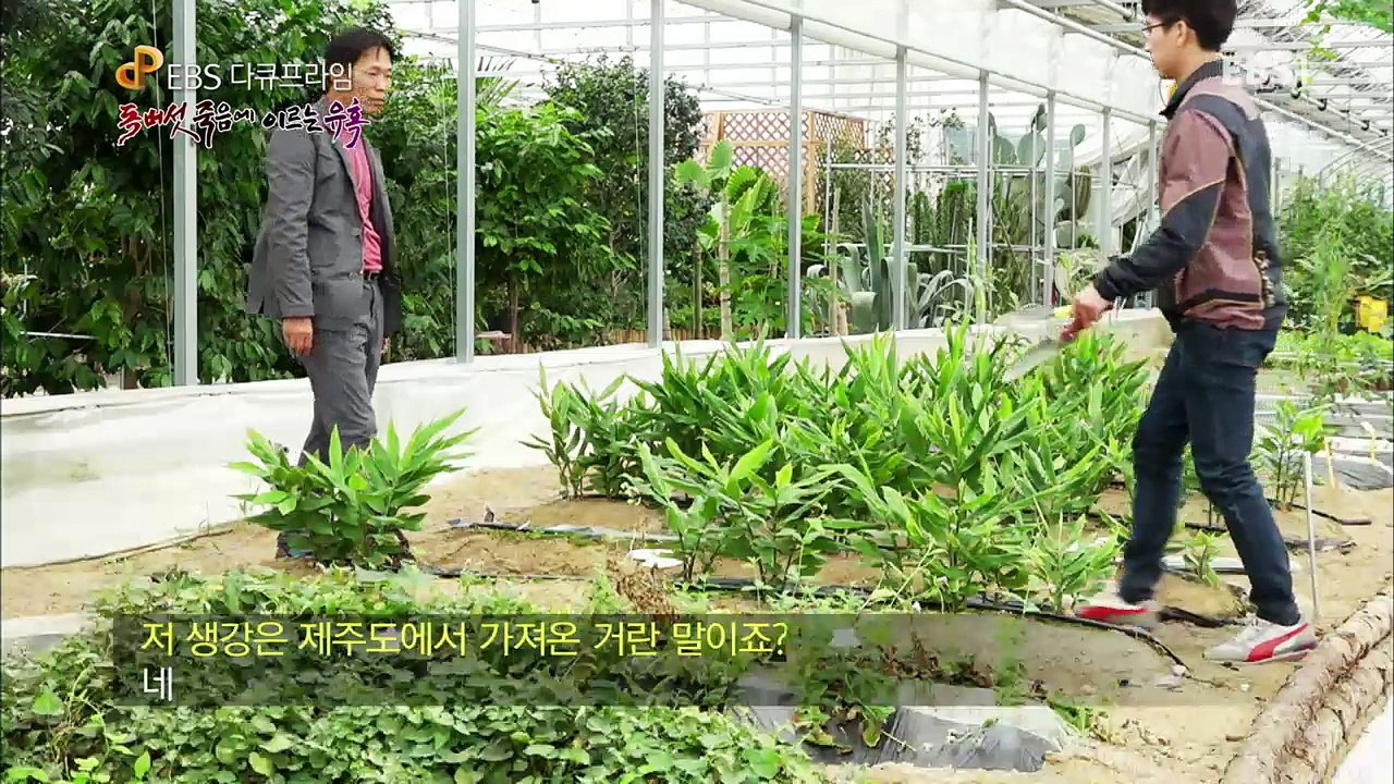 EBS 다큐프라임 - Docuprime_독버섯, 죽음에 이르는 유혹_#003