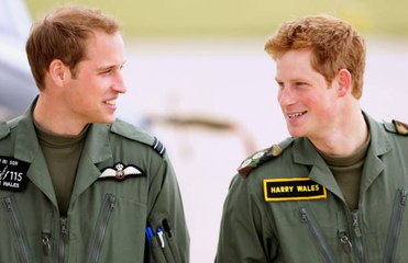 Les Princes William et Harry se confient sur la mort de leur mère