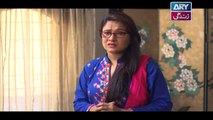Babul Ki Duayen Leti Ja - Episode 156 on Ary Zindagi in High Quality - 23rd August 2017
