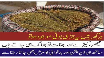 Top Best Home Remedies for Depression Urdu