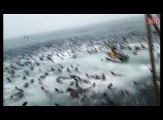 Peshkataret hodhen rrjetat ne det, shikoni se cfare kapen (360video)