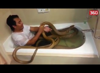 Njihuni me personin i cili ben banjo me kobrat e tij (360video)