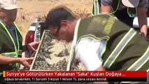 تغريم سوري و 4 أتراك بمليون ليرة تركية بعد صيدهم ألفي طائر حسون في كلس