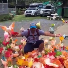 مشهد مؤثر لطيور ملونة جميلة جدا ما شاء الله