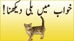 khwabon ki tabeer in urdu - khawab mein Bili (cat) dekhna
