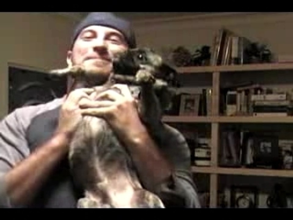 Son nouveau toutou lui pisse dessus