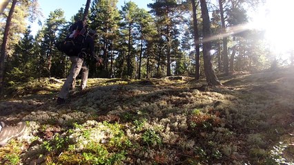 bande annonce Tour d'Europe de Zaz et Benj