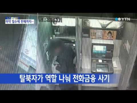 '부적응 탈북자' 보이스피싱 사기 가담 / YTN