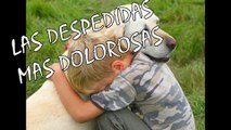 LAS 7 DESPEDIDAS MAS DOLOROSAS Y DESGARRADORAS DE LOS DUEÑOS A SUS MASCOTAS (PARTE 2) | OSCAR JACK