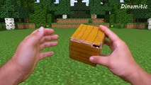 Realistic Minecraft Life: Creeper Kid - Minecraft Animation