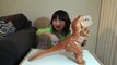 The Good Dinosaur Toys! Galloping Butch, Talking Arlo and ThunderClap Launcher Dinosaur To