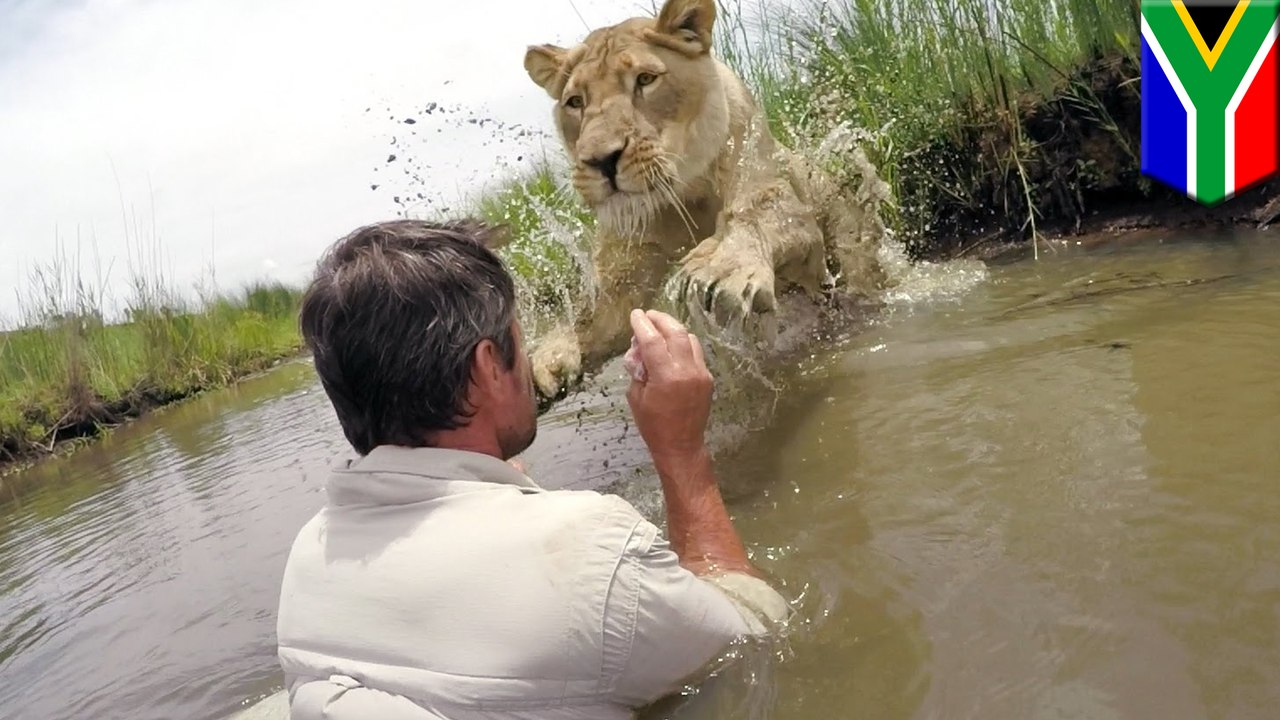 Kevin Richardson: GoPro captures lion whisperer convincing lioness to take leap of faith