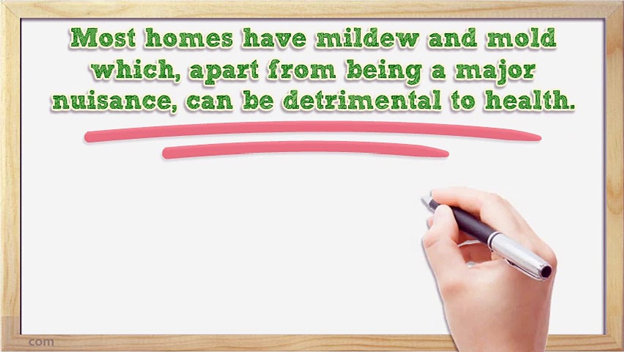 Mold Removal And Damage Restoration