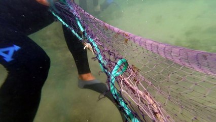 Canary Island fishermen cast their nets in honour of local saint