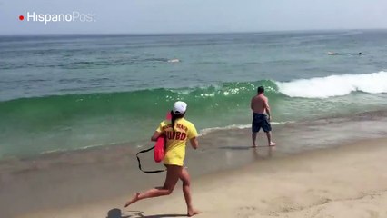 Dos surfistas sobreviven milagrosamente al ataque de un tiburón