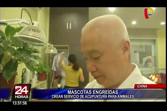 [VIDEO] Nuevo tratamiento para mascotas: la acupuntura