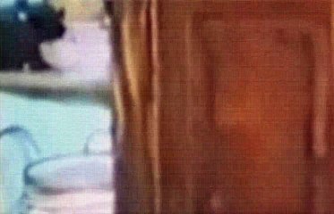 Robbie Coltranes Critical Evidence S01E05 DNA of a Murder