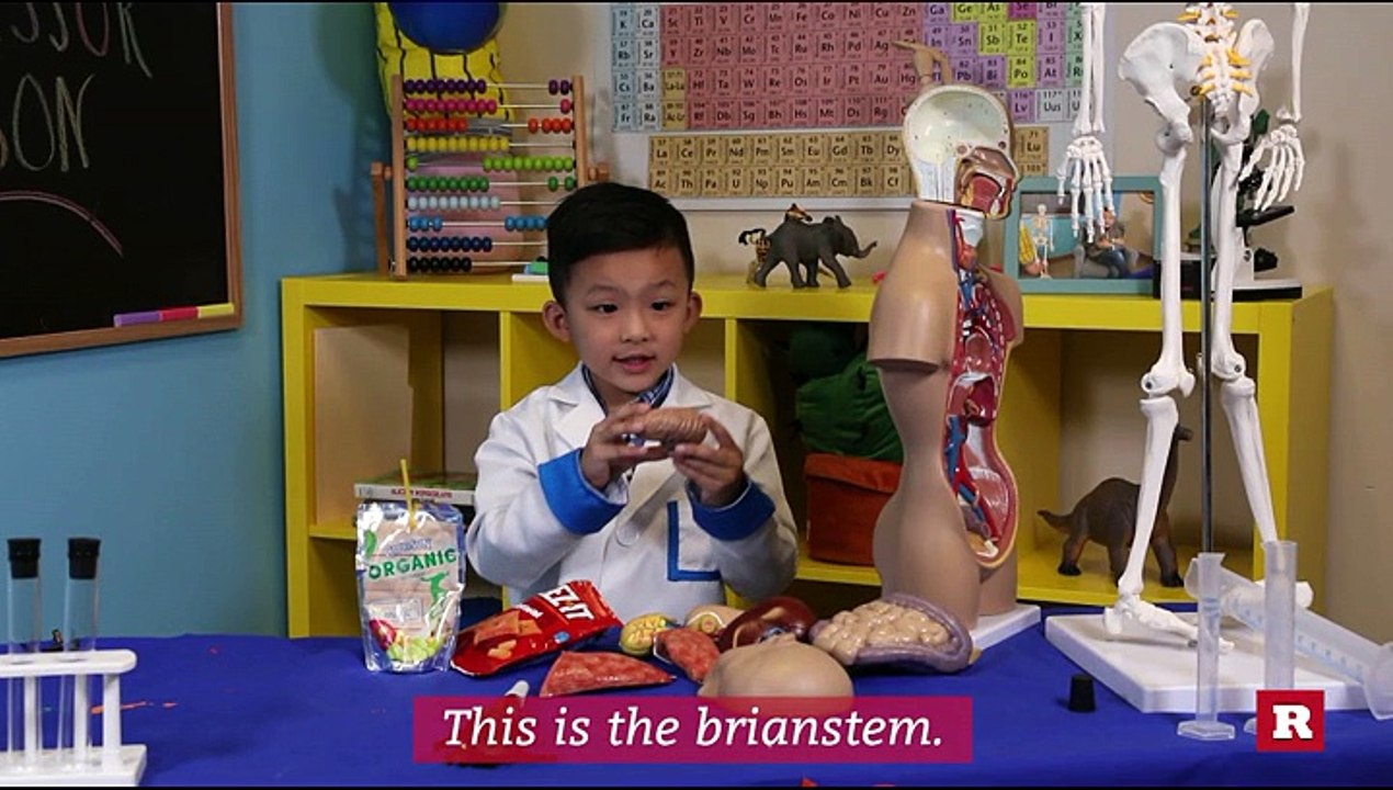 5-year-old Anson Wong's knowledge of the human brain will blow your mind | Anson's Answers
