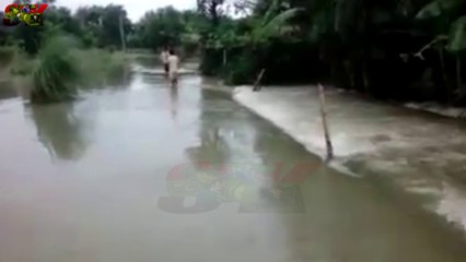 MOST PAINFUL FLOOD ATTACKED IN KISHANGANJ,ARARIA ,PURNIYA