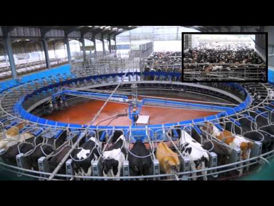NEW TECHNOLOGY SMART MR-S1 Milking Robot - Cow Milking Rotary Awesome