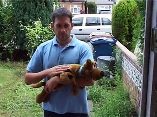 Niños películas Scooby Doo