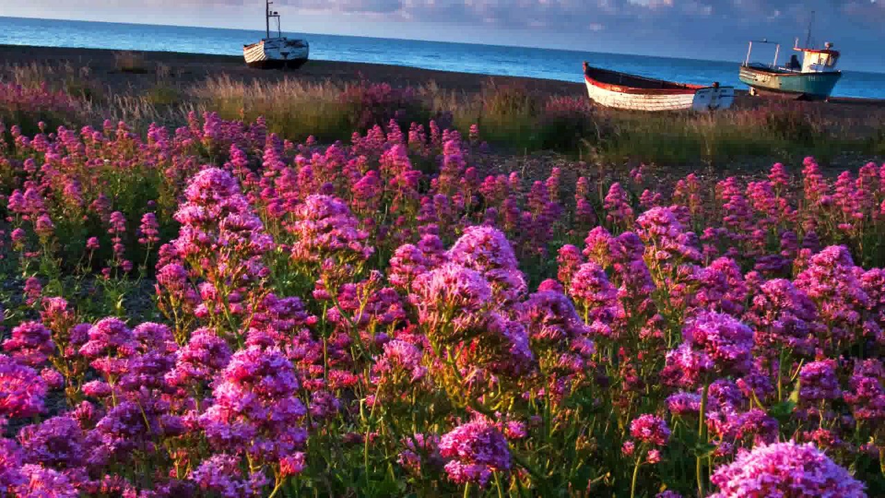 Alain Delorme chante ma vie de Alain Barrière ♥