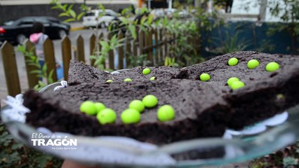 Cupcake Land FT Diario Tragon S1