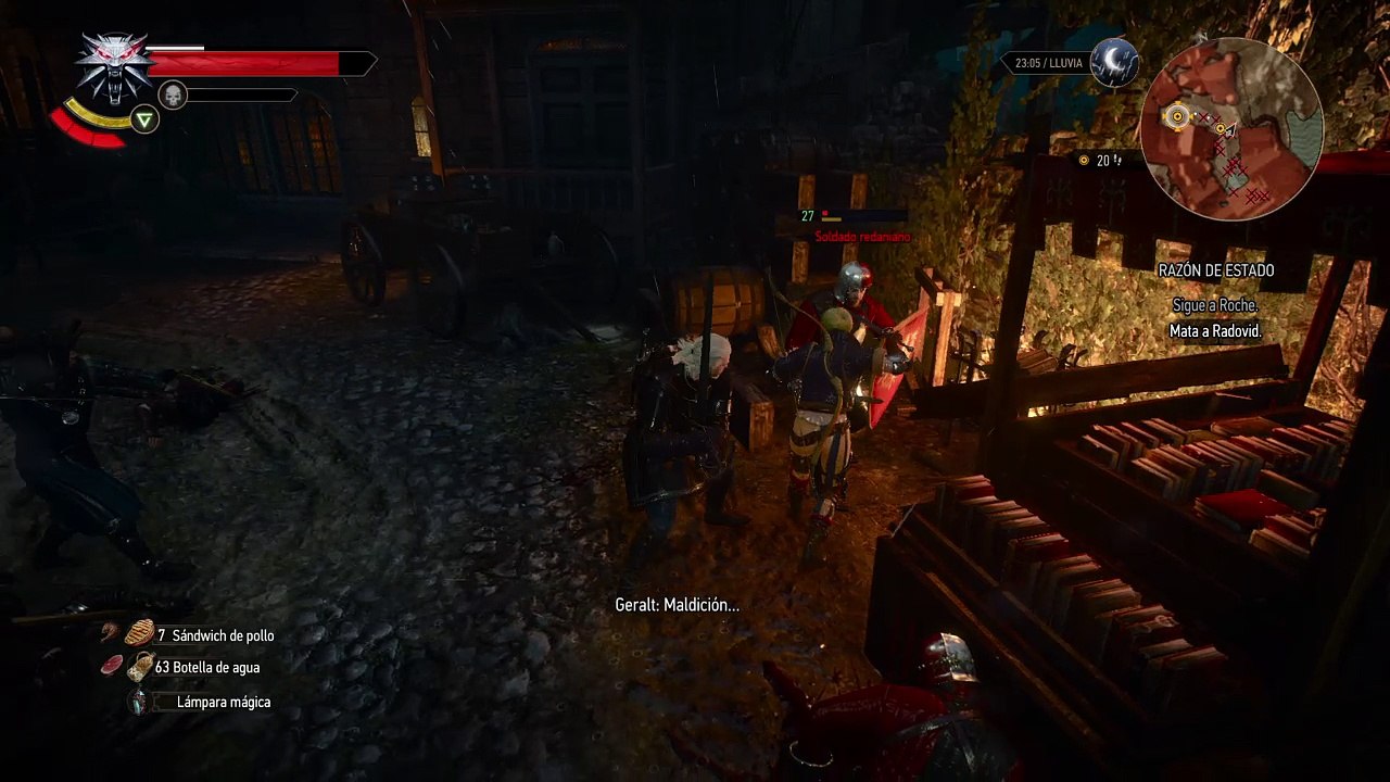 The Witcher 3: Wild Hunt_20170824044248