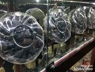 hải sâm khô 0906 631 180