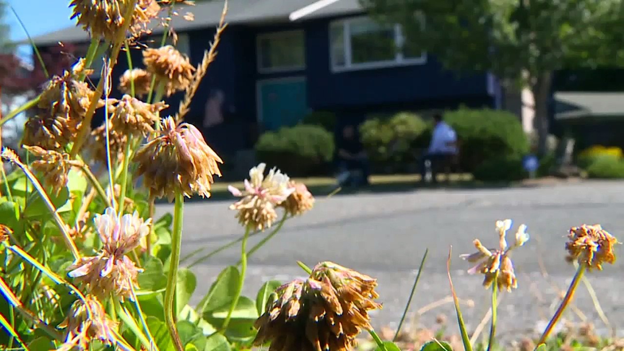 Veterans Behind Bars Train Service Dogs For Other Vets Suffering From PTSD