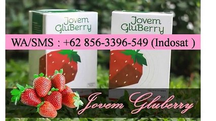 HUB WA_SMS_Telp -0856-3396-549 (I-sat) Vitamin Sendi - YouTube