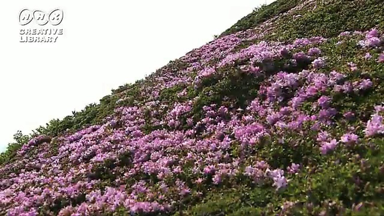 夏の楽しみ方　木原秀樹 (9)