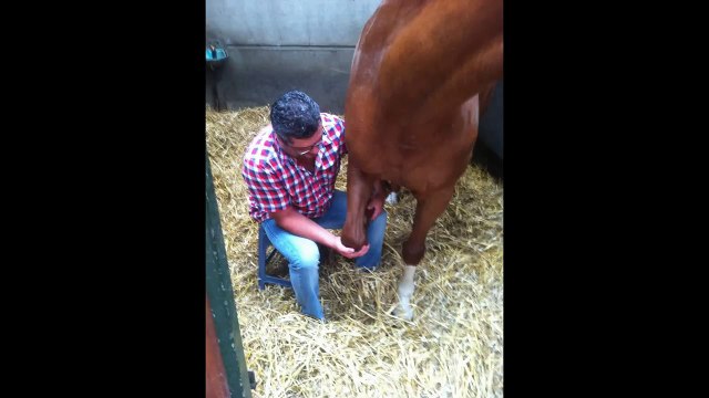 Tester son magnétisme humain par Ludovic magnétiseur en Belgique-qWjDXo2t8L0