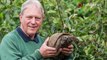 Pemilik menghidupkan kembali kura-kuranya dengan ciuman - TomoNews