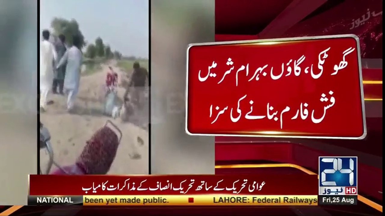‫گھوٹکی میں وڈیرا جلاد بن گیا‬