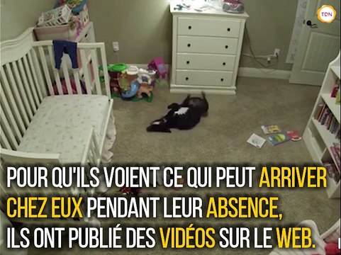 Voilà ce qui se passe vraiment chez vous quand vous n'êtes pas là !
