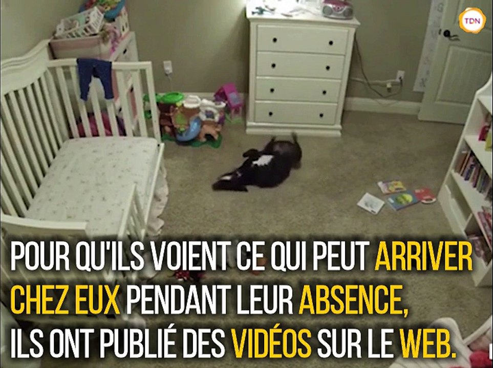 Voilà ce qui se passe vraiment chez vous quand vous n'êtes pas là !