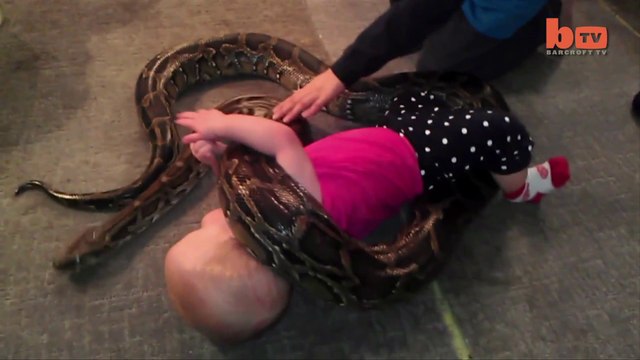 Quand ton bébé joue avec un python de 3m de long... Flippant non?