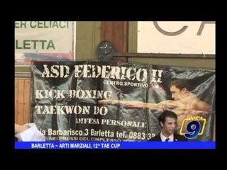 Barletta |  Arti marziali, 12^ Tae Cup